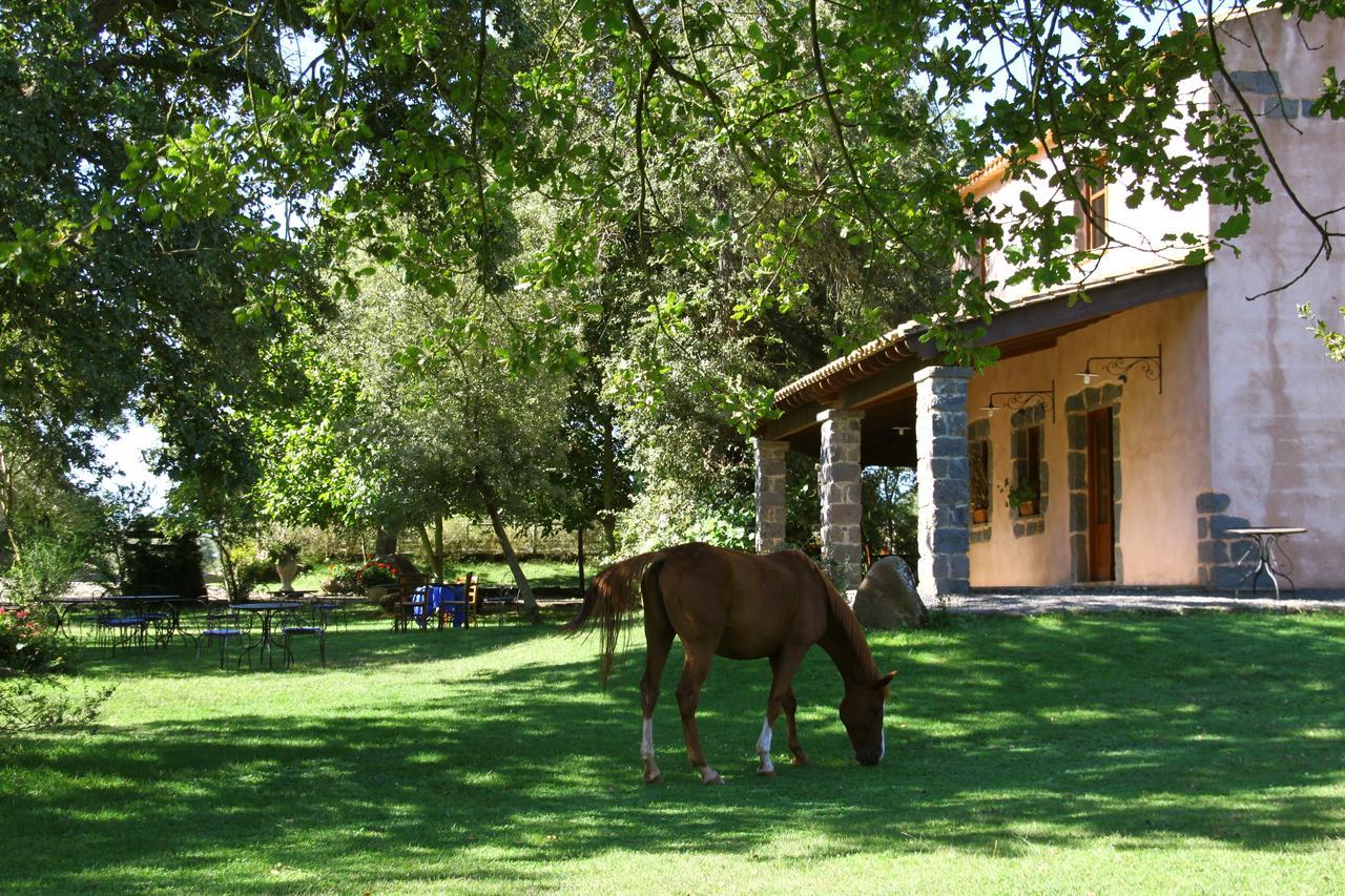 Country Hotel Mandra Edera Abbasanta Exterior foto